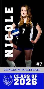 Volleyball senior banner
